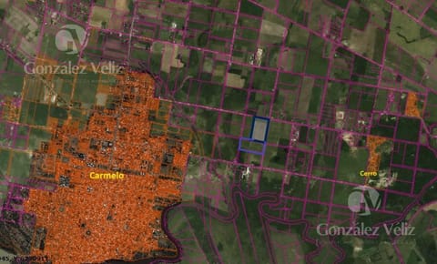 Chacra en  Carmelo sobre camino Las Tunas a 1,5 Km del nuevo transito pesado