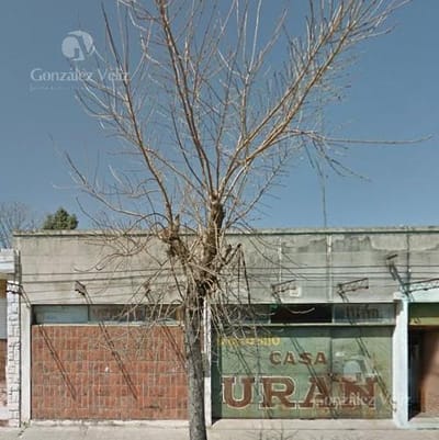 Bodega en Nueva Palmira