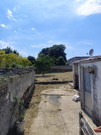 Tres casas en un mismo padrón a reciclar en amplio terreno de 801m2