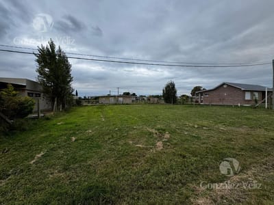 Terreno en Carmelo