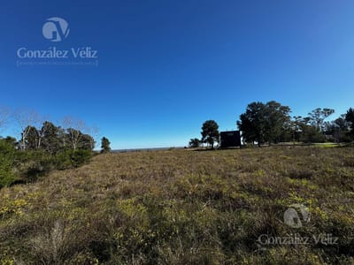 Terreno en Nueva Palmira