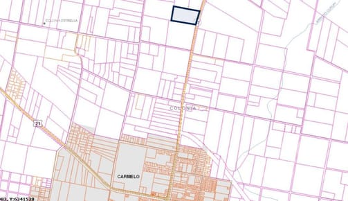Chacra en Colonia Estrella a 3 Km de Carmelo