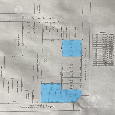 Casimiro de La Fuente y Avenida Ansina - 15 lotes en venta -Financiación