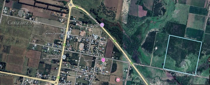 Chacra 14,8 hectáreas sobre calle Las Tunas cercanas a Carmelo