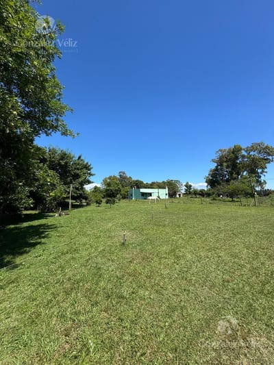 Campo en Juan Gonzalez
