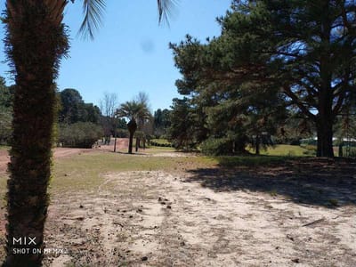 Hermoso terreno en El Faro - Carmelo  Lote 271