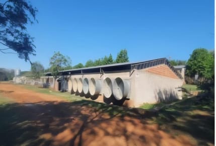 Campo Avícola en venta 7 ha en Emboscada