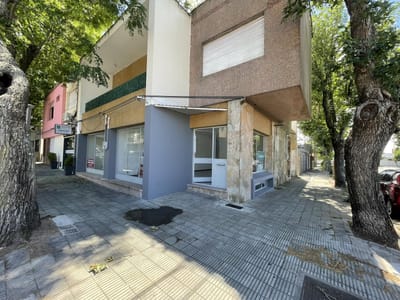 Local centrico, a corta distancia de terminal y puerto