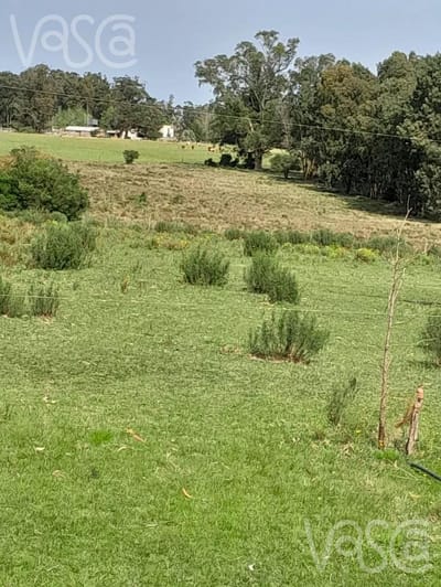 Terreno en Maldonado