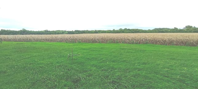 Campo en  Colonia Valdense