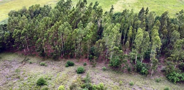 Venta de Terreno en José Ignacio