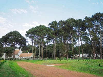 Terreno en Punta del Este