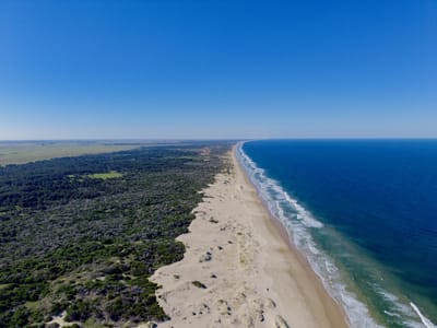 Venta de Campo Luxury en Rocha – 241 Hectáreas con 2.100 Metros frente a Costa Oceánica