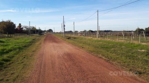 Exclusiva Chacra de 1,5 Hectáreas en Venta en Colonia Estrella, Carmelo: Un Oasis de Tranquilidad y Potencial.