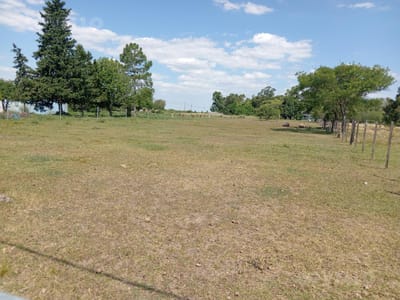 Terreno en Juan Gonzalez