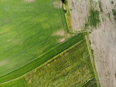 Campo en Venta - Treinta y Tres