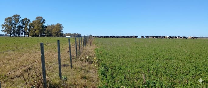 Campo en Santa Catalina