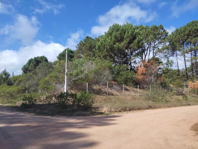 TERRENO EN VENTA EN CHIHUAHUA 