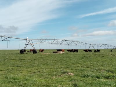 Campo en  Florida - TM6638634