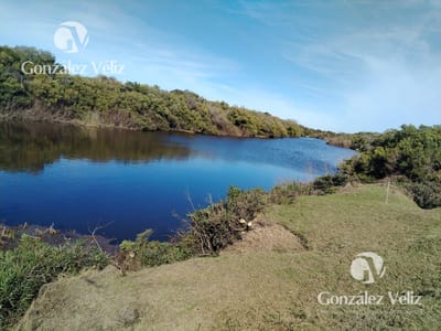 Chacra de 6has con casas y salida a arroyo navegable, Arroyo Miguelete, Paso Sena