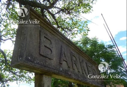 Campo de 19 hectáreas en Pueblo Barker - Colonia 