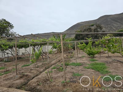 Terreno de Cultivo  de 2,549 m²