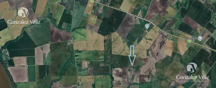 Venta/campo
