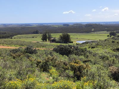 Venta de chacras de 5 hectáreas en Lavalleja, cerca de Minas- Las Moras vistas panoramicas