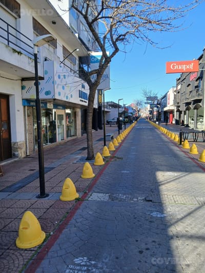 Casa con locales comerciales y Terreno en el Centro de Maldonado