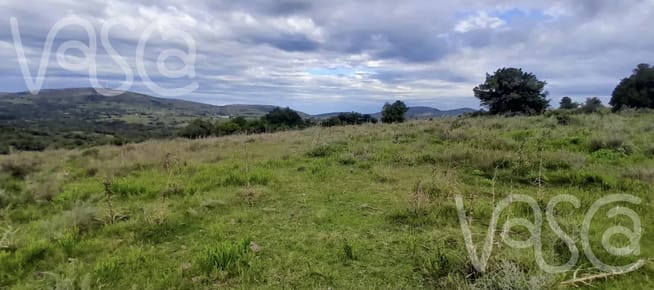 Chacra de 10 hectáreas a la venta en Sierra de los Caracoles Maldonado 