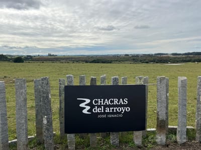 Venta Chacra en José Ignacio