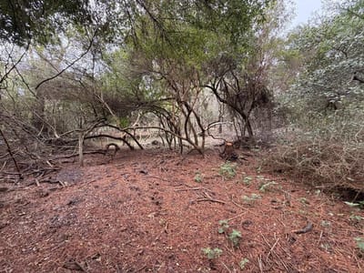Terreno En el Caracol