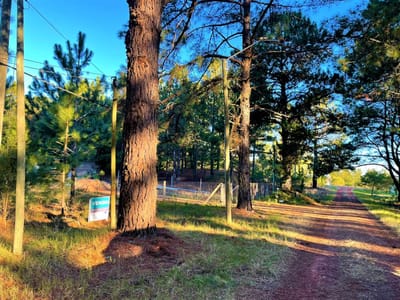 Venta - Terreno - Carmelo - Balneario Zagarzazu