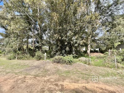 Terreno en  venta 