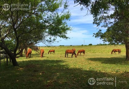 Venta chacra Laguna del Sauce Ruta 12