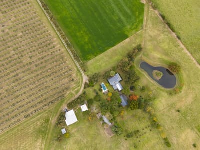 Campo en Venta en Artilleros, Colonia, con Olivos, Tajamar, Piscina, Dos Casas y más