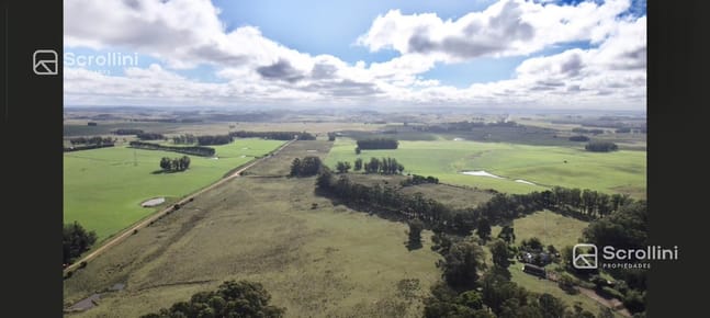 Campo en Rocha