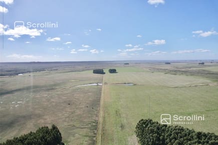 Campo en  Venta