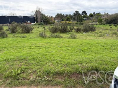Terreno en Cerro Pelado