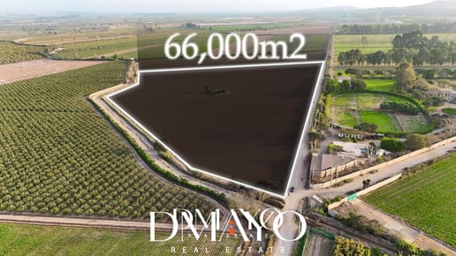Se vende terreno de 6.6 Hectáreas en Quilmana Cañete