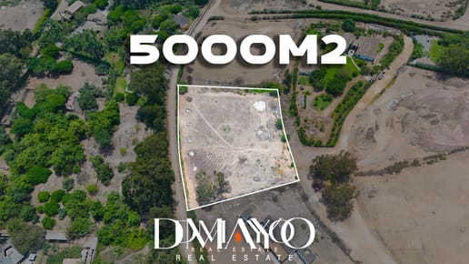 Venta Terreno en  Pacachacamac 5.000 m2  Independizado, con agua y electricidad-Pachacamac