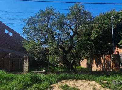 Terreno en Venta 360m2 en Barrio San Jorge  Mariano Roque Alonso