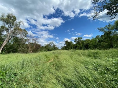 Estancia en venta de 4065 has en Alto Paraguay