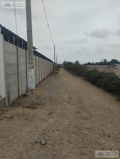 VENTA TERRENO EN PACHACAMAC (609-1155-1)