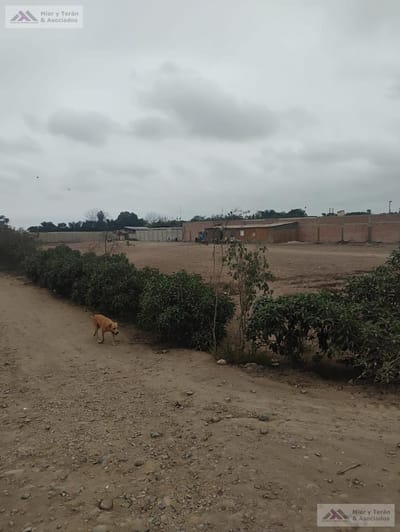 VENTA TERRENO EN PACHACAMAC (609-1155-2)