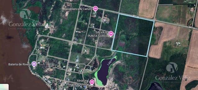 Chacra de 12has, Punta Gorda, incluye una parte de la laguna Solis