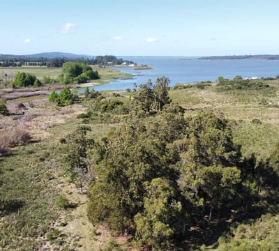 Venta Campo 17 ha sobre la Laguna del Sauce Punta del Este