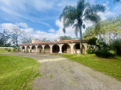 Venta casa 3 dormitorios más dependencia, piscina, y más de 5.000 m2 de terreno Punta del Este