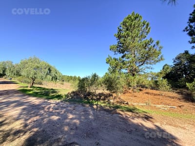 Terreno en venta  en Zagarzazu 500 m2 .