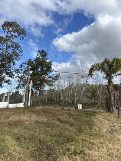 Terreno en venta Camino Lusich con vista al bosque- Maldonado